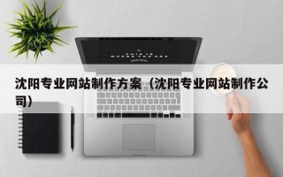 林芝沈阳专业网站制作方案（沈阳专业网站制作公司）